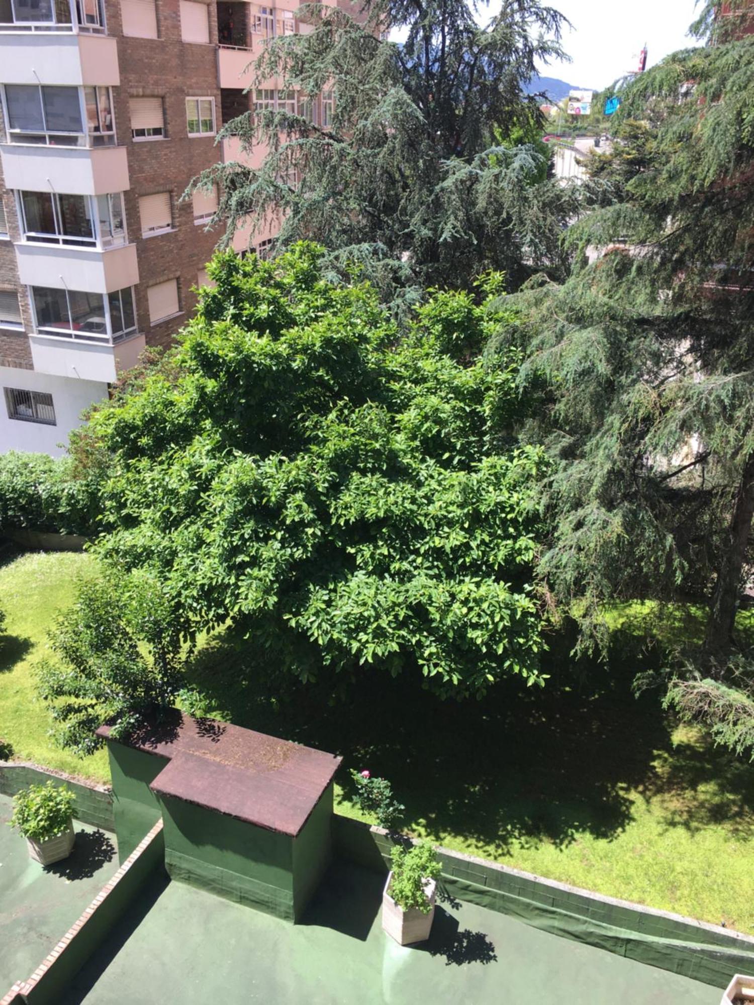 Appartamento Gaivota Amplio Y Luminoso Con Plaza De Garaje Vigo Esterno foto